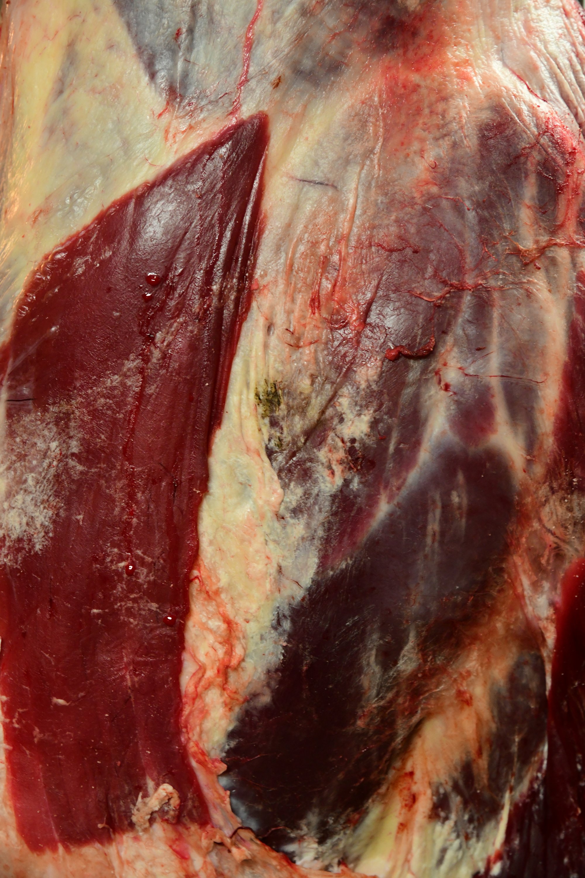 Detail, texture and light