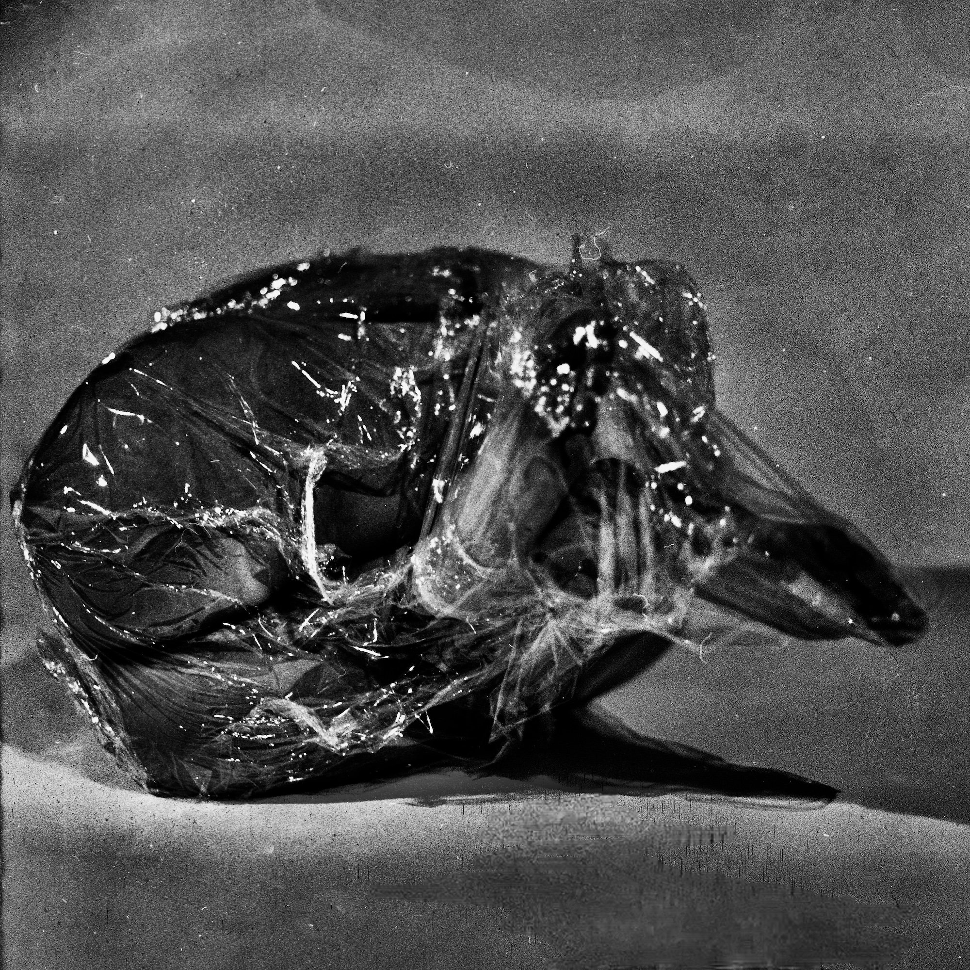 Market display, overhead