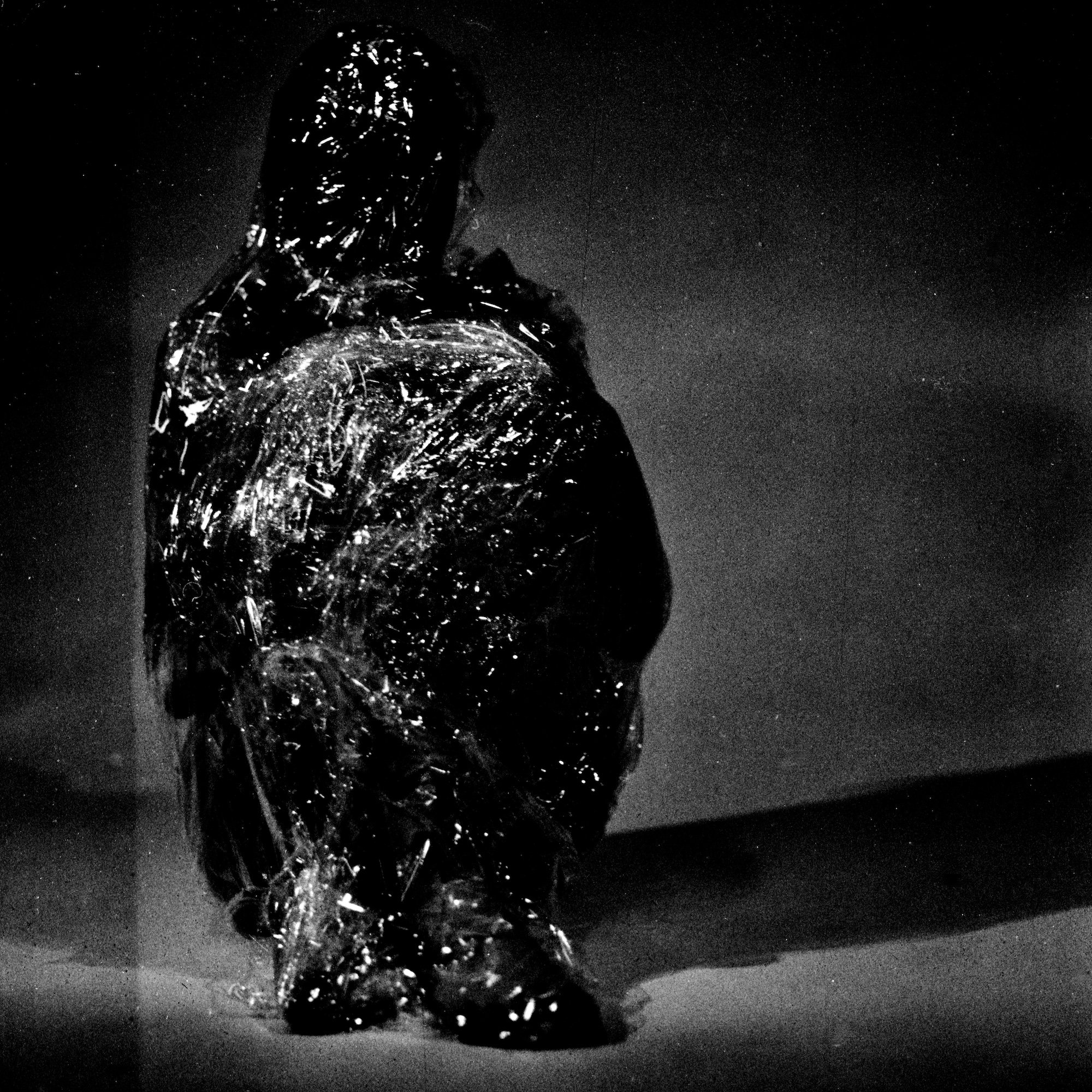 Raw flesh, close study