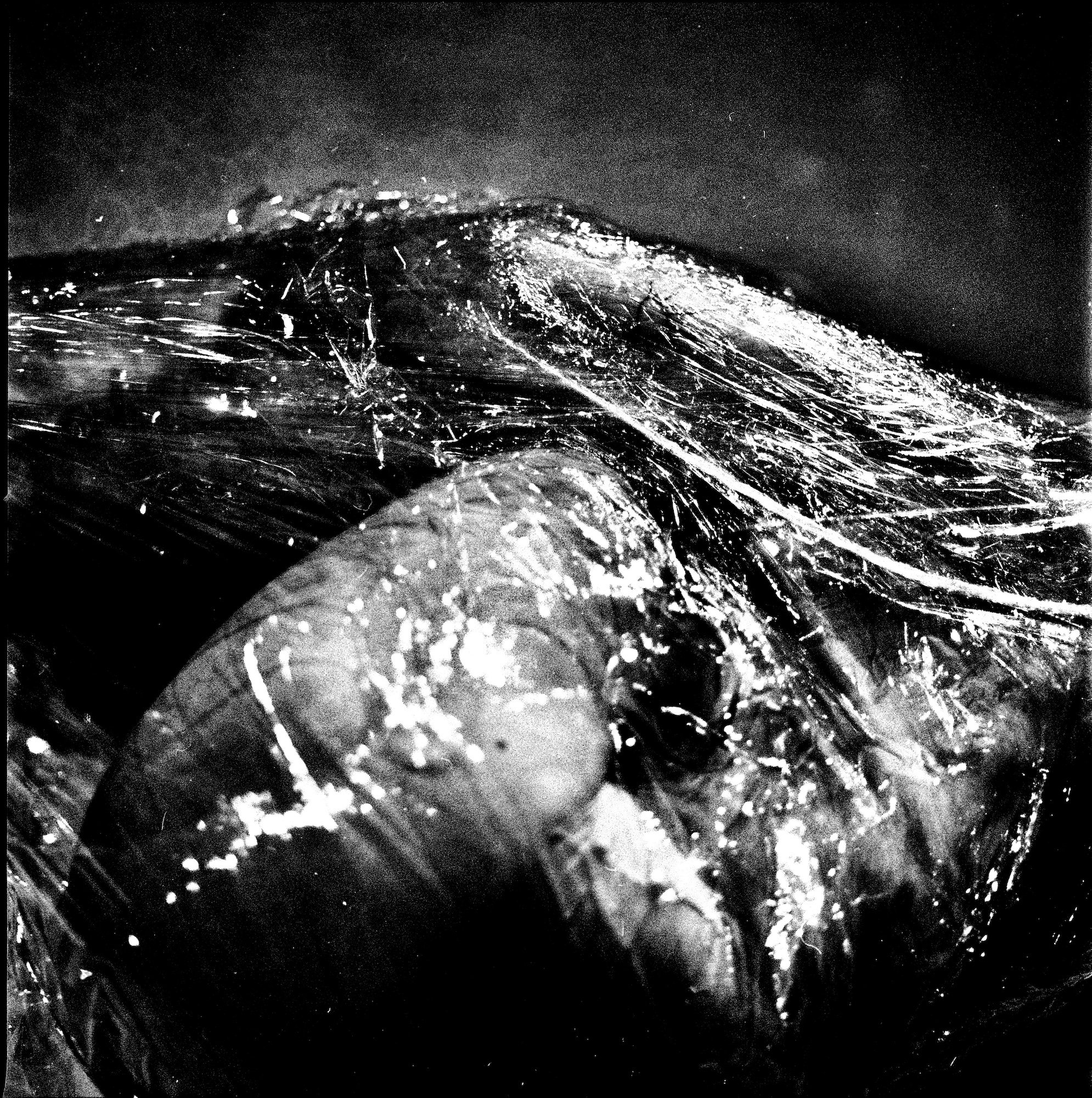 Raw flesh, close study