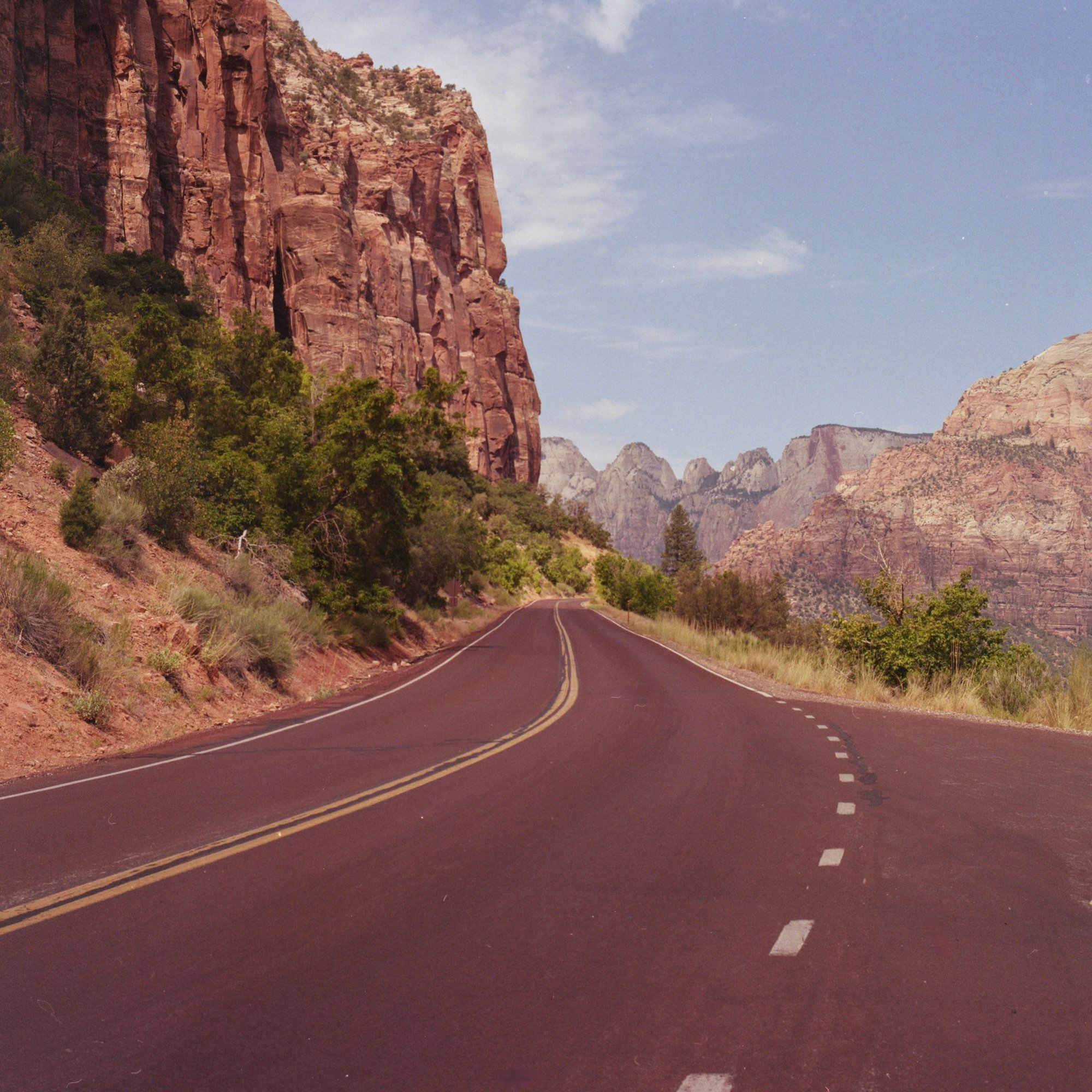 Asphalt Road in Zion National Park