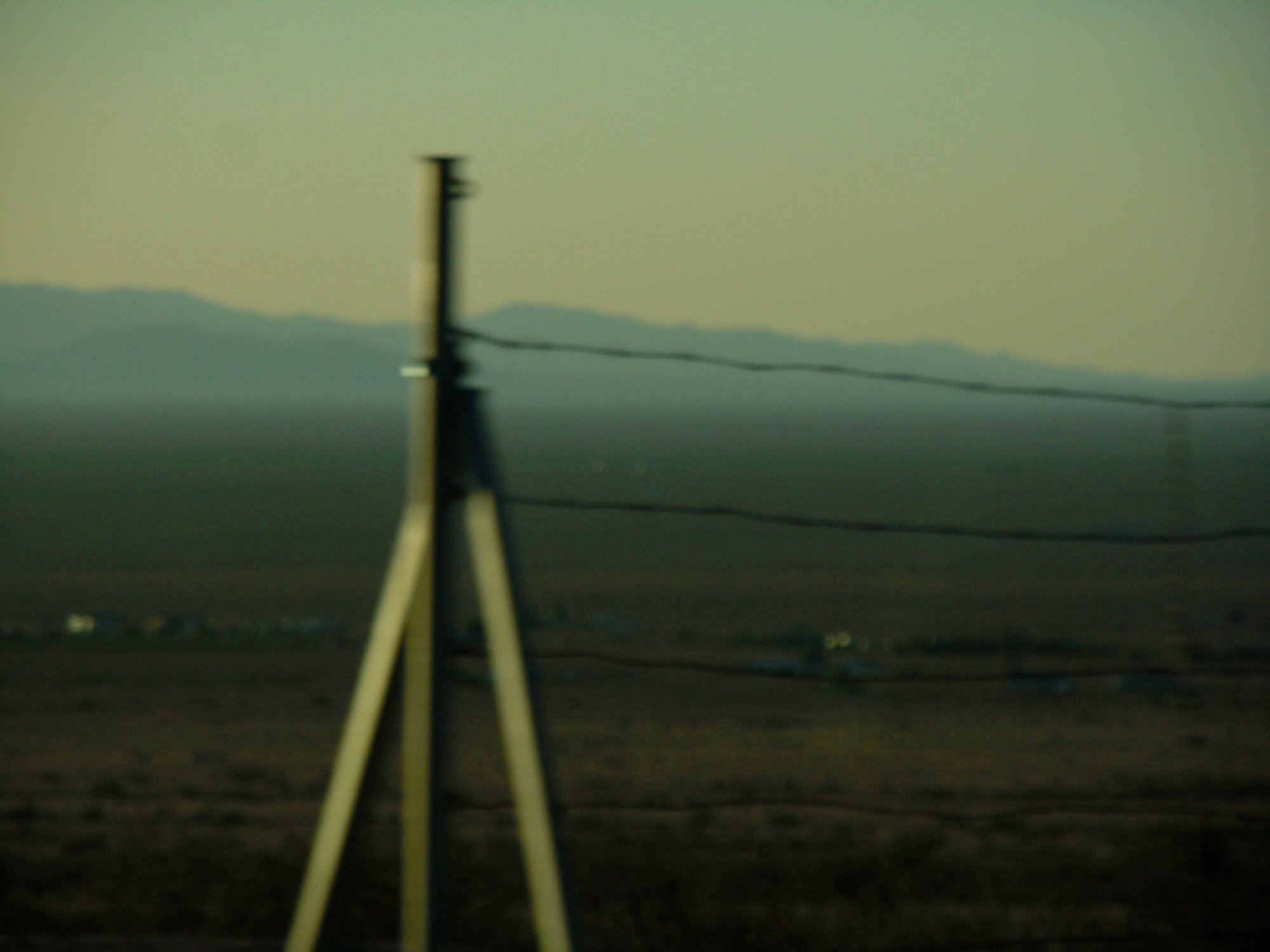 barked wire in motion