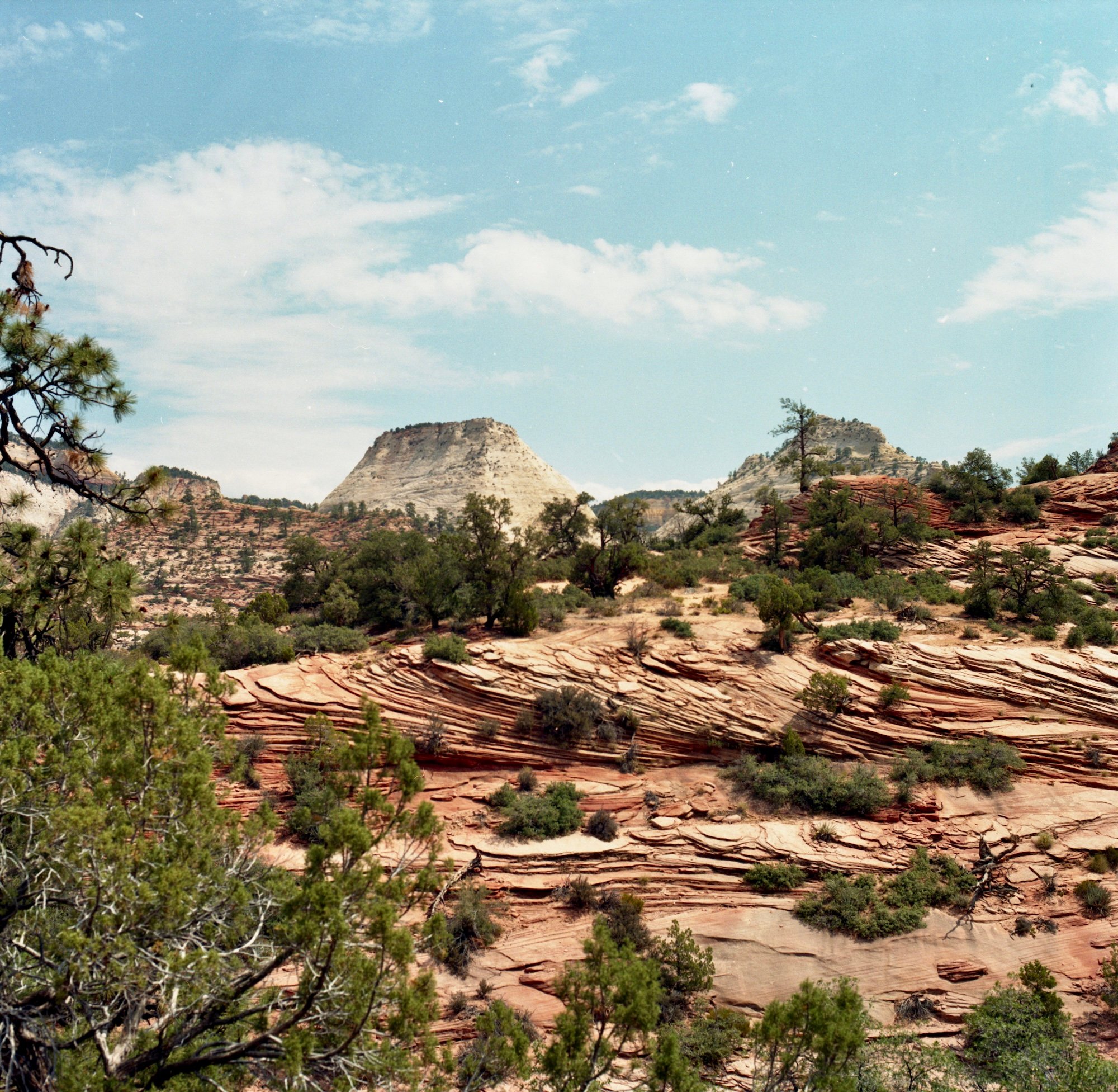 Colour image of Zion National Park